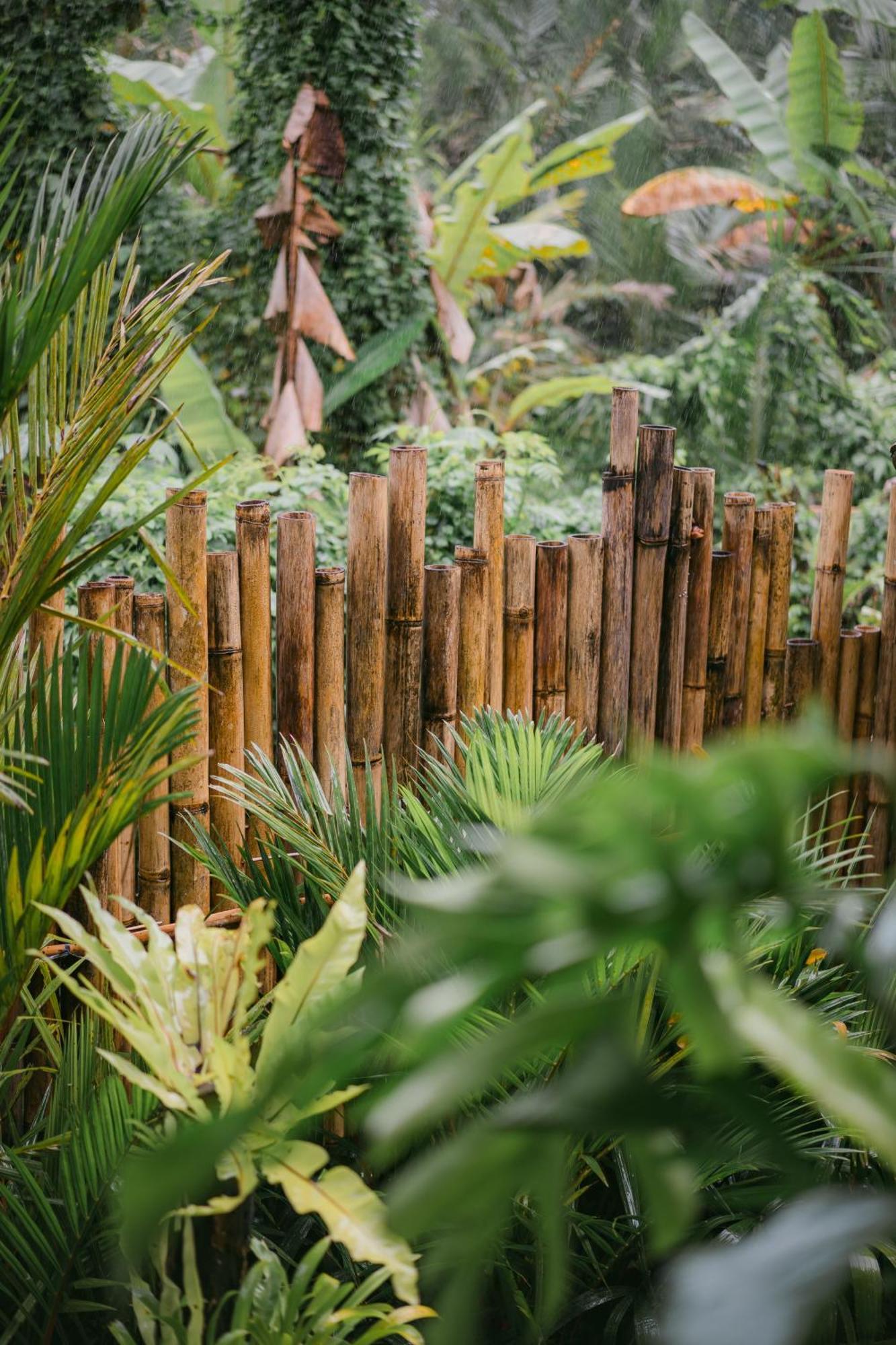 فيلا Alamvaya Bali Bamboo House سيديمين المظهر الخارجي الصورة